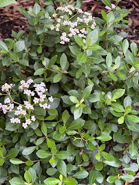 About backyard transformation Lakewood