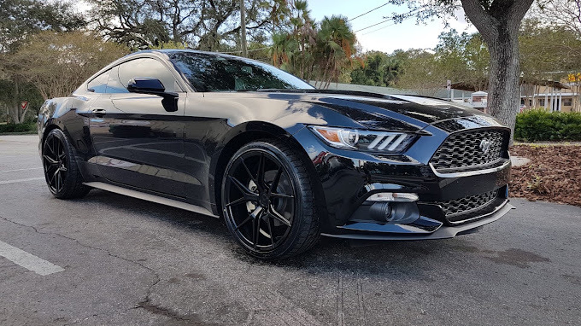 Gallery image 7 — wheel alignment Tampa