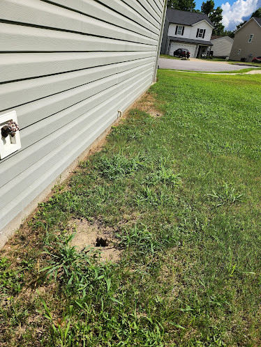 Gallery image 3 — Rocket Pest Control