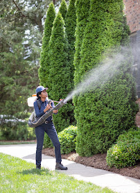 Gallery image 7 — Rocket Pest Control