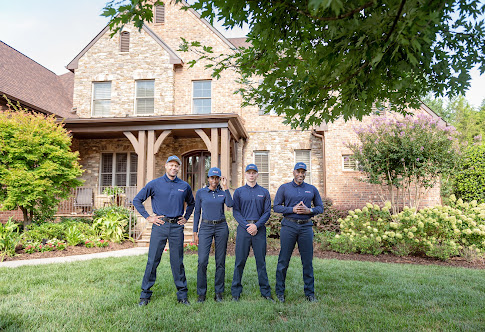 Gallery image 8 — Rocket Pest Control