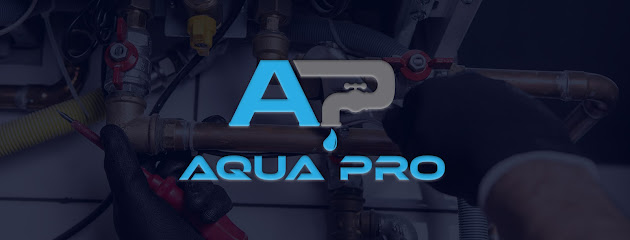 affordable plumbing repair in Miami