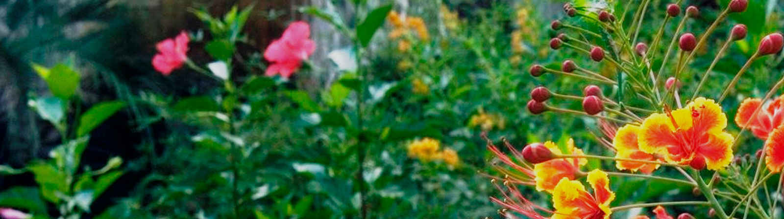 Gallery image 1 — outdoor space design TX