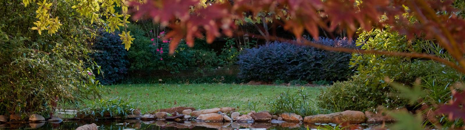 outdoor space design TX