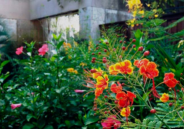 Gallery image 9 — outdoor space design TX