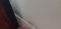 Gallery image 18 — affordable mold remediation Austin