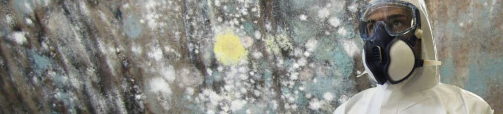 Gallery image 2 — affordable mold remediation Austin