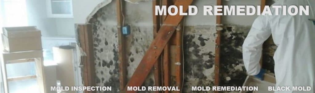 Gallery image 13 — affordable mold remediation Austin