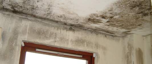Gallery image 10 — affordable mold remediation Austin