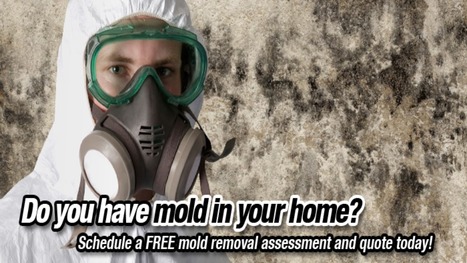 Gallery image 16 — affordable mold remediation Austin
