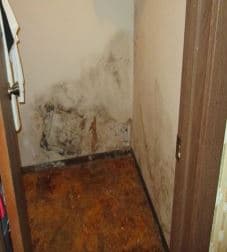 Gallery image 12 — affordable mold remediation Austin