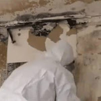 Gallery image 3 — affordable mold remediation Austin
