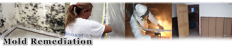 Gallery image 5 — affordable mold remediation Austin