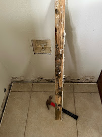 residential mold remediation Pflugerville