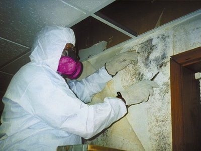 Gallery image 11 — affordable mold remediation Austin