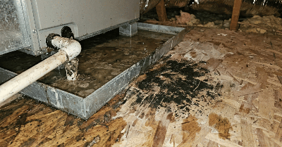 Gallery image 5 — residential mold testing Clarksville