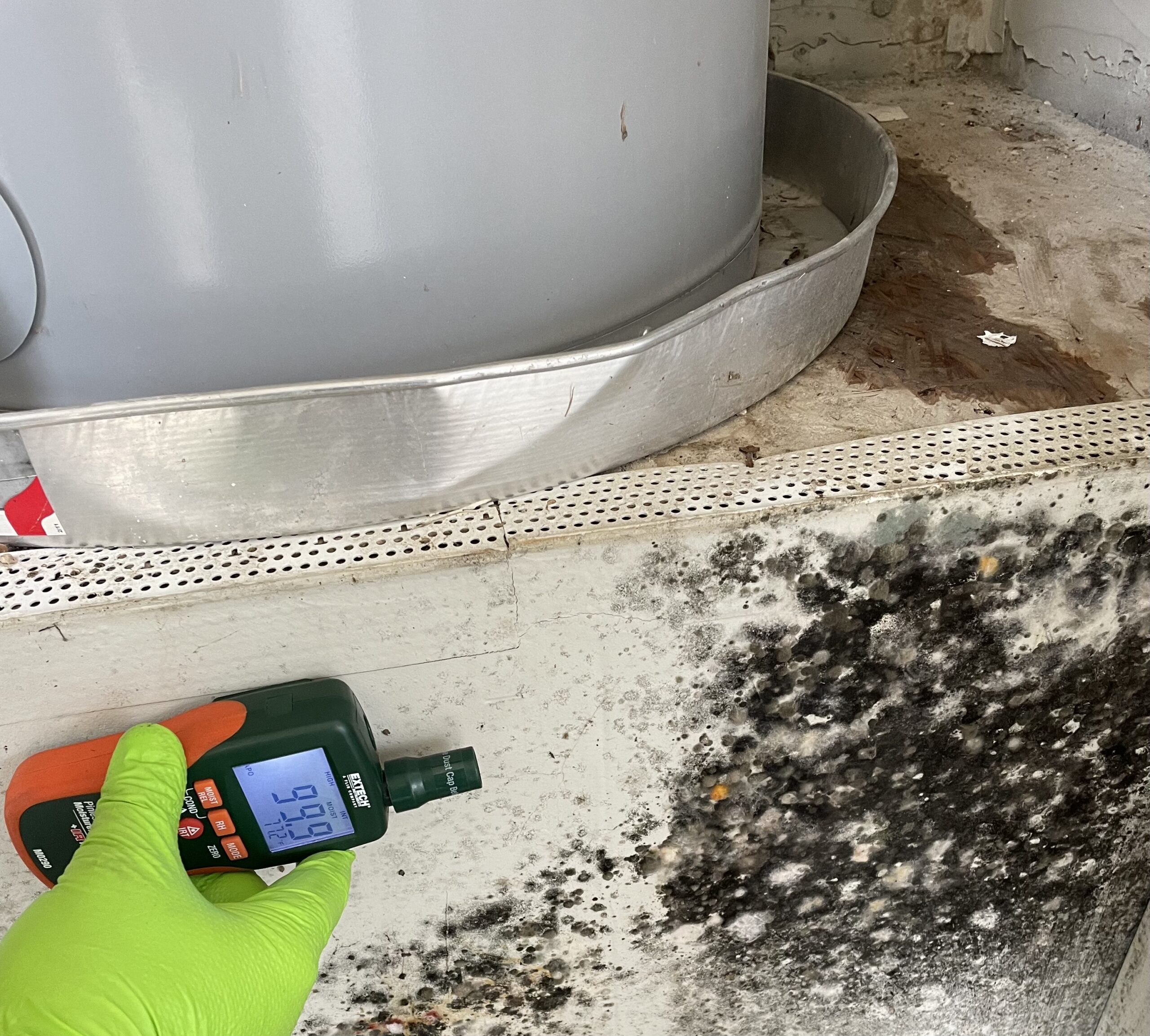 About mold inspection in %AREA%