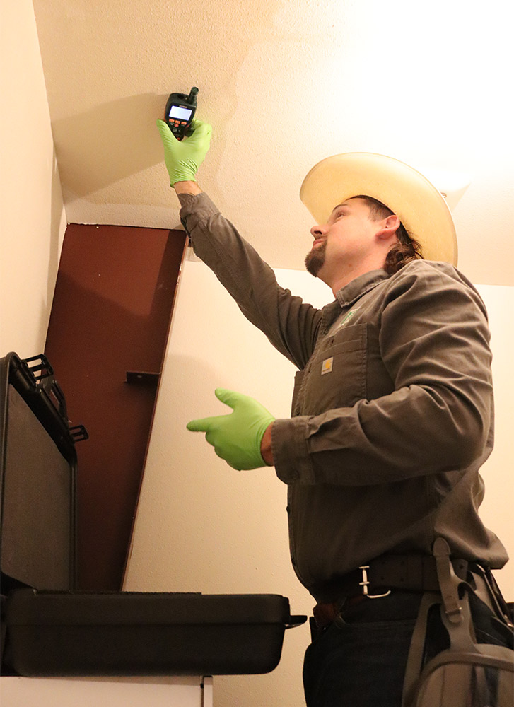 Gallery image 6 — mold inspection in %AREA%