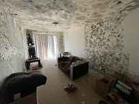 Gallery image 1 — mold inspection in %AREA%