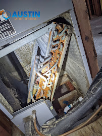 About residential mold inspection Austin Mold Testing
