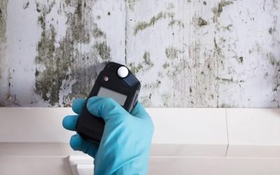 Gallery image 18 — residential mold inspection Austin Mold Testing