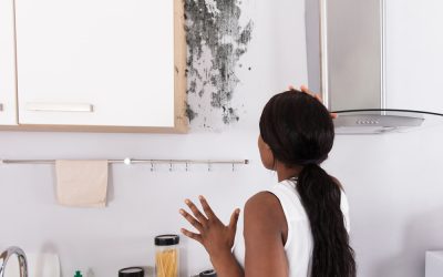 Gallery image 6 — residential mold inspection Austin Mold Testing