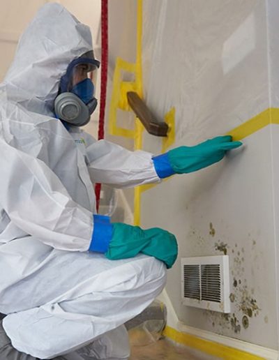 Gallery image 7 — residential mold inspection Austin Mold Testing