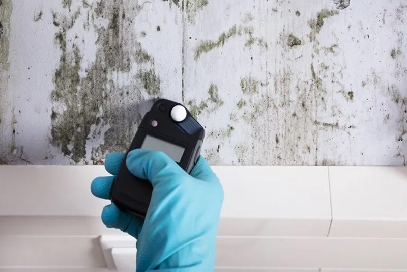Gallery image 1 — residential mold inspection Austin Mold Testing