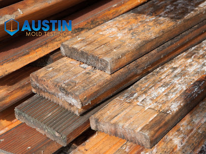 Gallery image 10 — residential mold inspection Austin Mold Testing