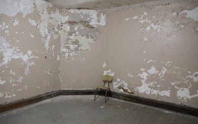 Gallery image 14 — residential mold inspection Austin Mold Testing