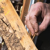 Gallery image 4 — new construction inspection Houston
