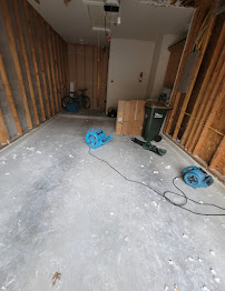 About mold remediation near Austin