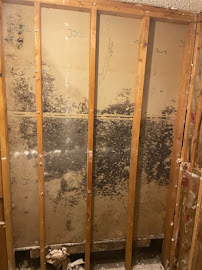 About mold inspection San Marcos