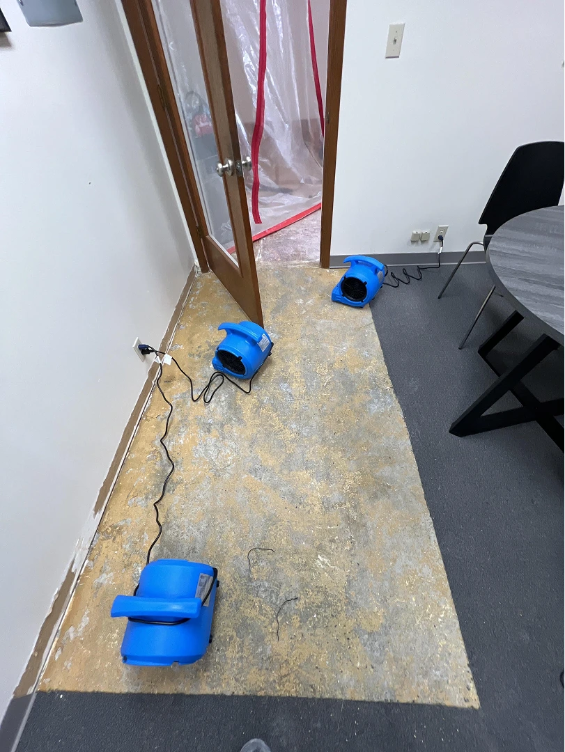 Gallery image 1 — water damage remediation COTA