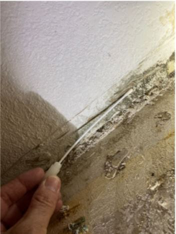 Gallery image 1 — mold inspection Downtown Austin