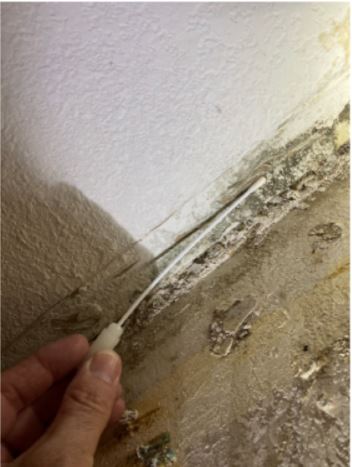 mold inspection near me