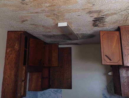Gallery image 4 — mold inspection Downtown Austin