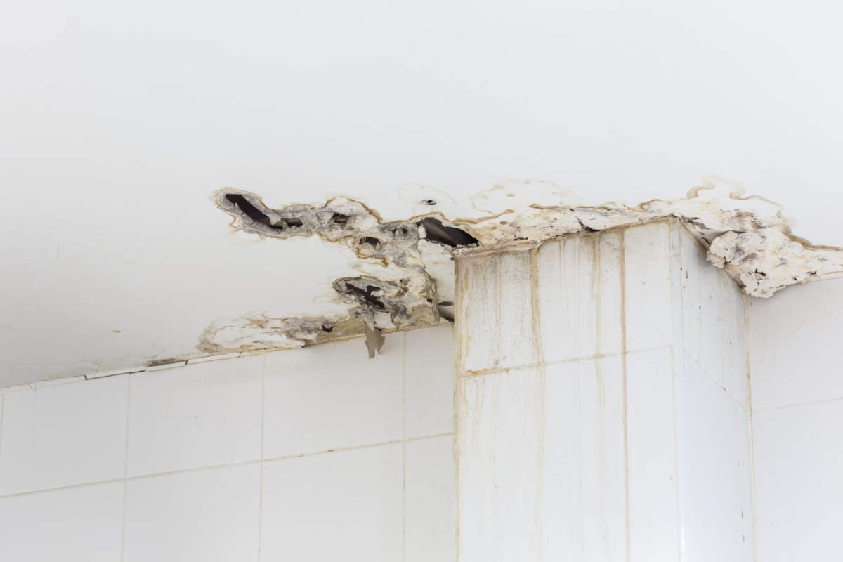 Gallery image 5 — mold remediation Anderson Mill