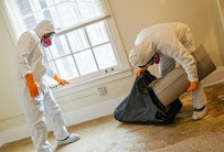 About mold remediation Anderson Mill