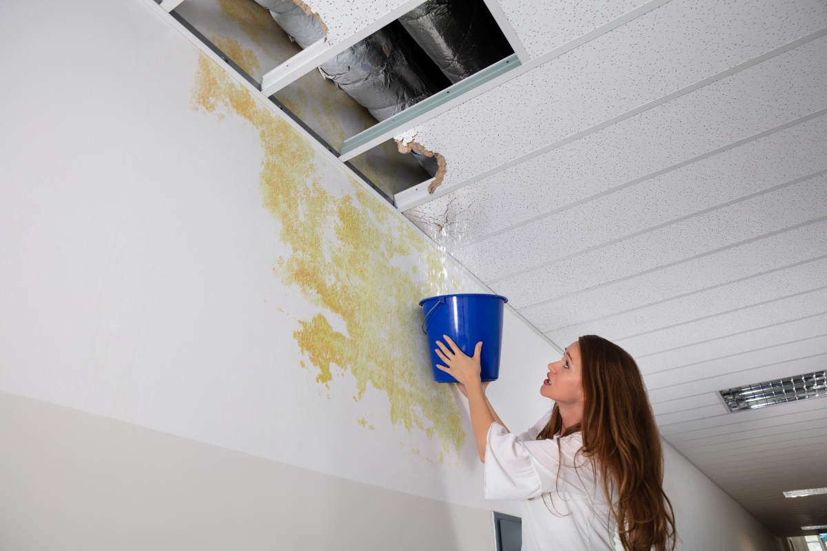 Gallery image 4 — mold remediation Anderson Mill