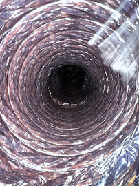 Gallery image 2 — carpet cleaning service Austin