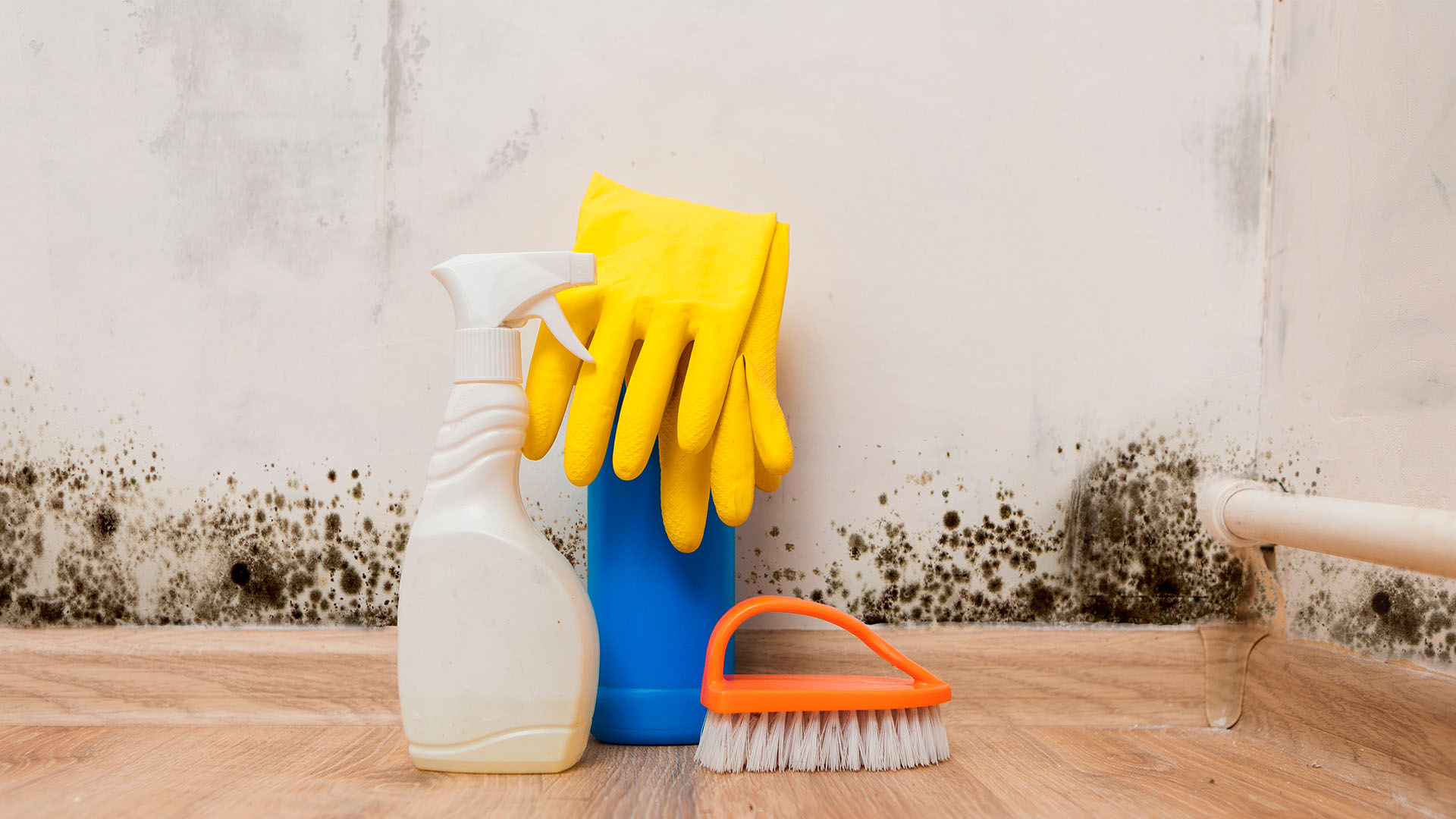 affordable mold testing Woodway, TX