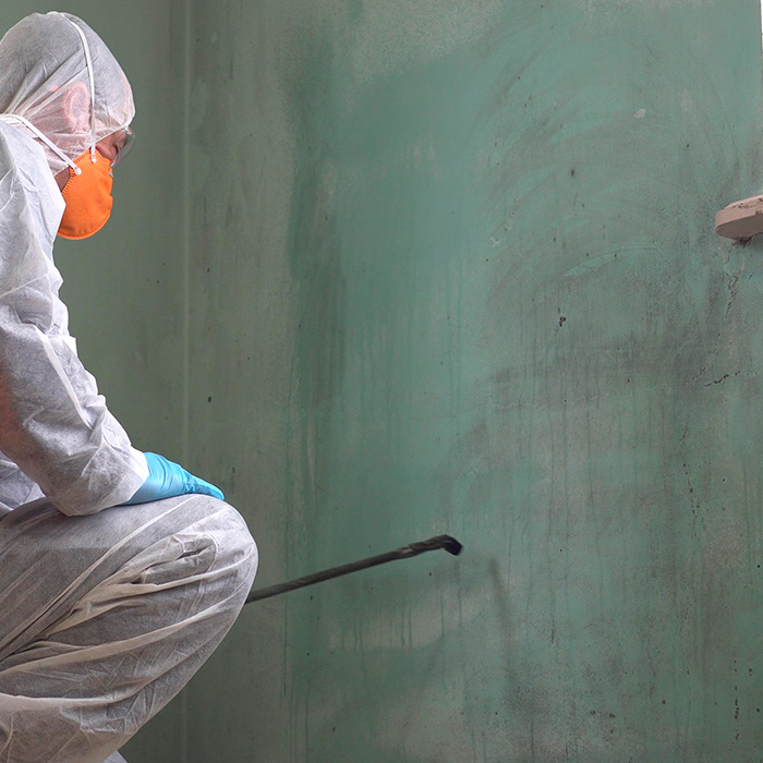 About affordable mold testing Woodway, TX