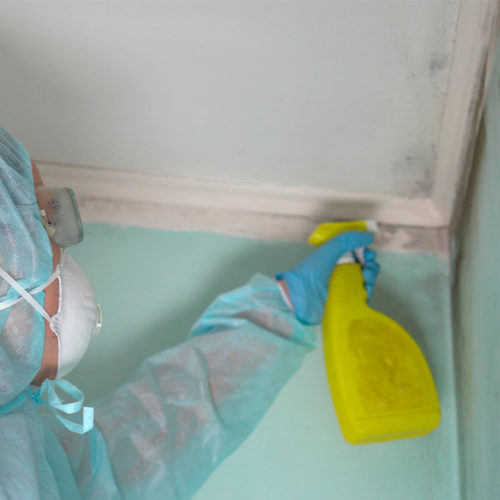 Gallery image 4 — affordable mold testing Woodway, TX