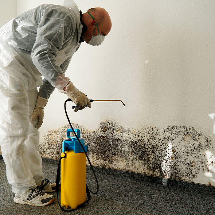 Gallery image 5 — affordable mold testing Woodway, TX