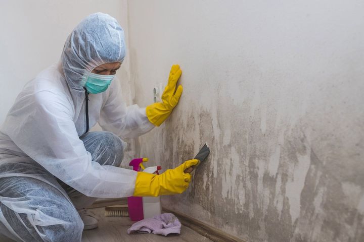 About drug decontamination TX