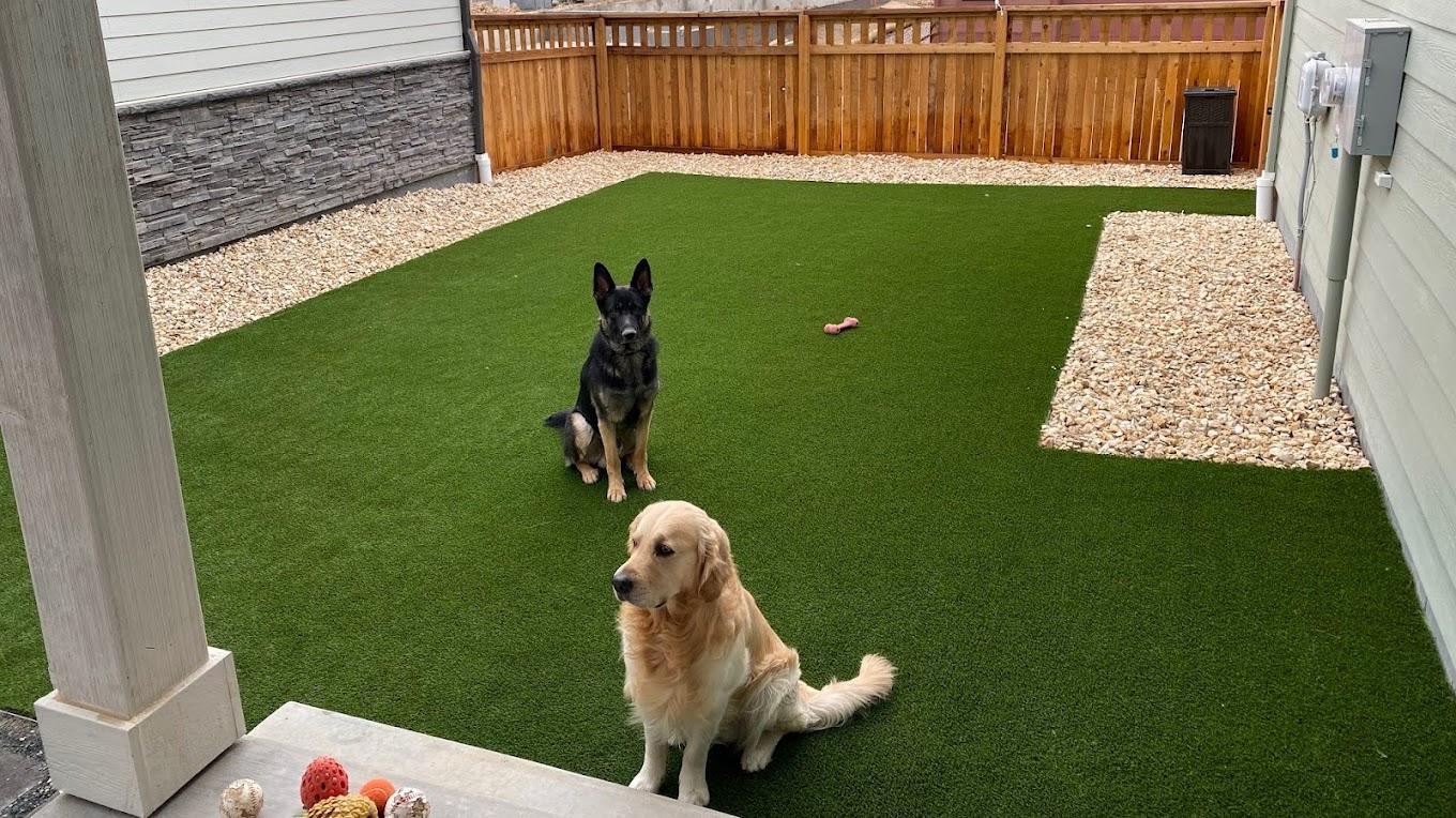 Gallery image 8 — durable synthetic grass Grass!365 Denver