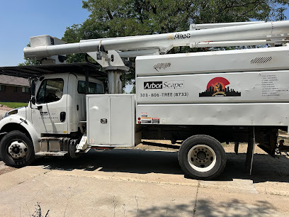 Gallery image 5 — stump grinding near me