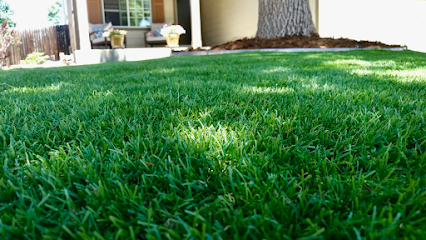 residential artificial grass Aurora