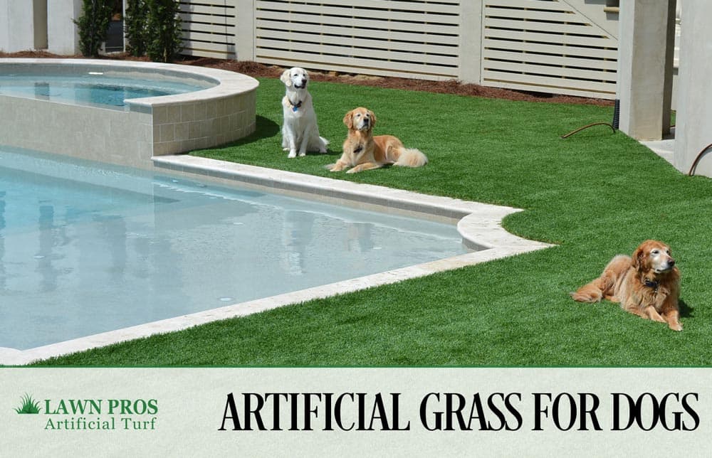 Gallery image 13 — affordable artificial turf Cherry Hills